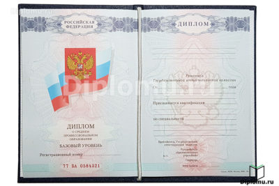 диплом спо 2007-2010